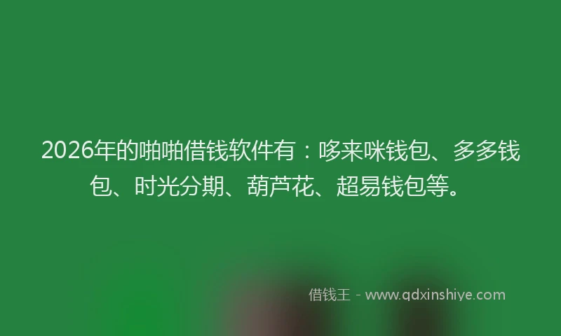 2026年的啪啪借钱软件有：哆来咪钱包、多多钱包、时光分期、葫芦花、超易钱包等。