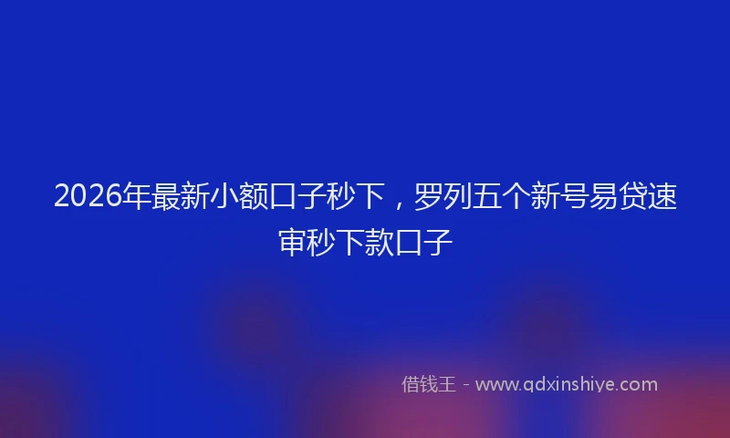2026年最新小额口子秒下，罗列五个新号易贷速审秒下款口子