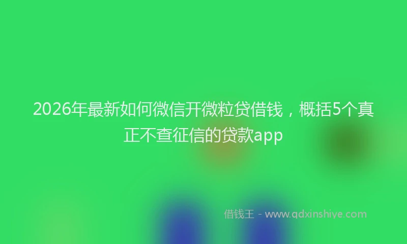 2026年最新如何微信开微粒贷借钱，概括5个真正不查征信的贷款app