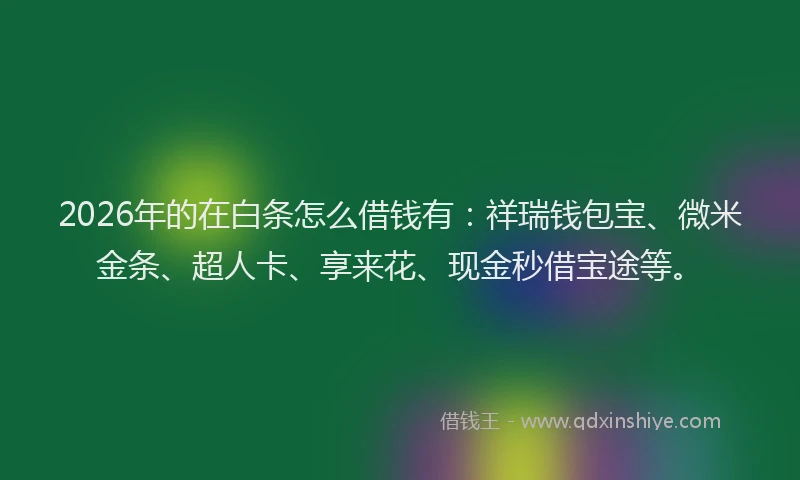 2026年的在白条怎么借钱有:祥瑞钱包宝、微米金条、超人卡、享来花、现金秒借宝途等。