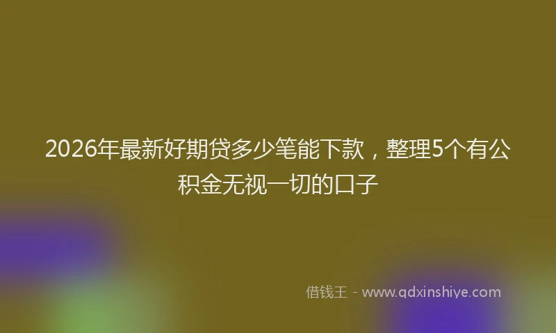 2026年最新好期贷多少笔能下款，整理5个有公积金无视一切的口子