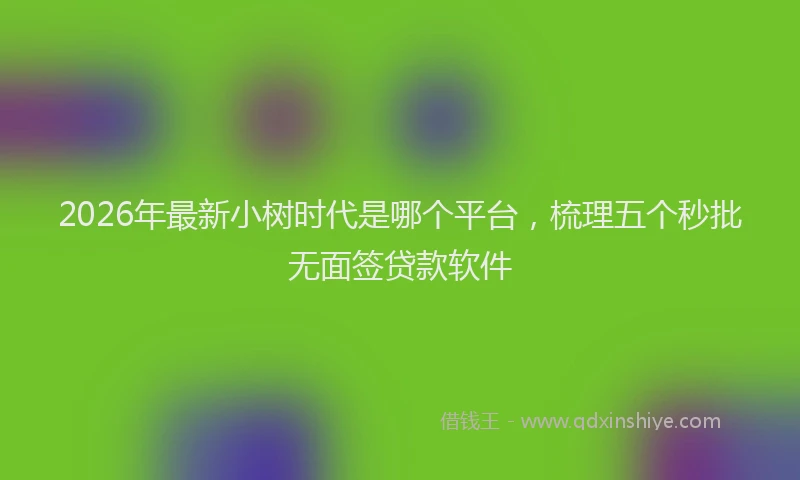 2026年最新小树时代是哪个平台，梳理五个秒批无面签贷款软件
