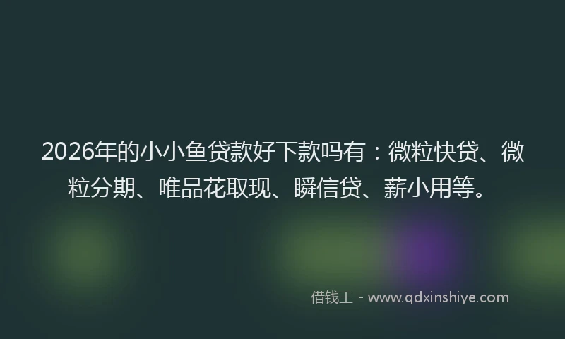 2026年的小小鱼贷款好下款吗有：微粒快贷、微粒分期、唯品花取现、瞬信贷、薪小用等。