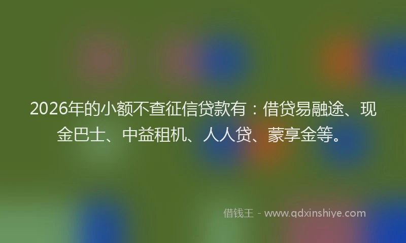 2026年的小额不查征信贷款有：借贷易融途、现金巴士、中益租机、人人贷、蒙享金等。