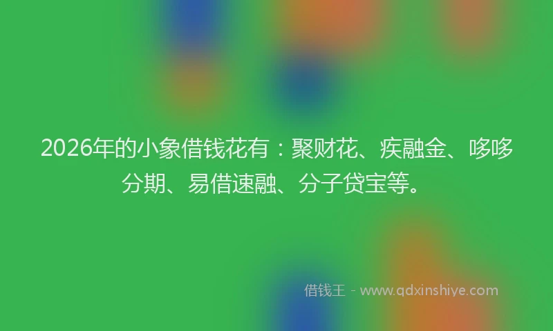2026年的小象借钱花有：聚财花、疾融金、哆哆分期、易借速融、分子贷宝等。