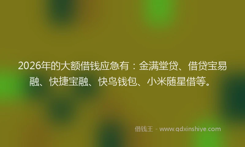 2026年的大额借钱应急有：金满堂贷、借贷宝易融、快捷宝融、快鸟钱包、小米随星借等。