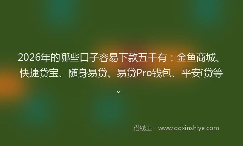 2026年的哪些口子容易下款五千有：金鱼商城、快捷贷宝、随身易贷、易贷Pro钱包、平安i贷等。