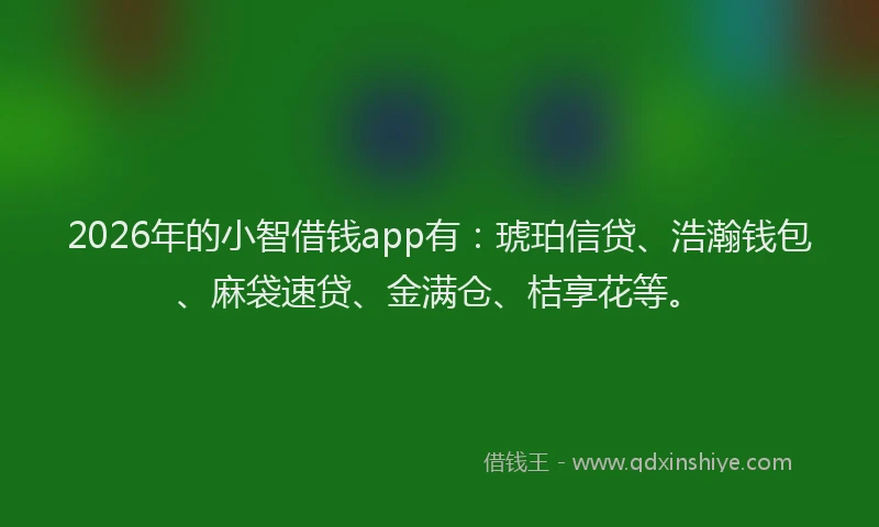 2026年的小智借钱app有：琥珀信贷、浩瀚钱包、麻袋速贷、金满仓、桔享花等。