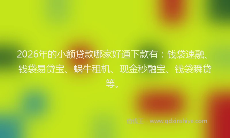 2026年的小额贷款哪家好通下款有：钱袋速融、钱袋易贷宝、蜗牛租机、现金秒融宝、钱袋瞬贷等。