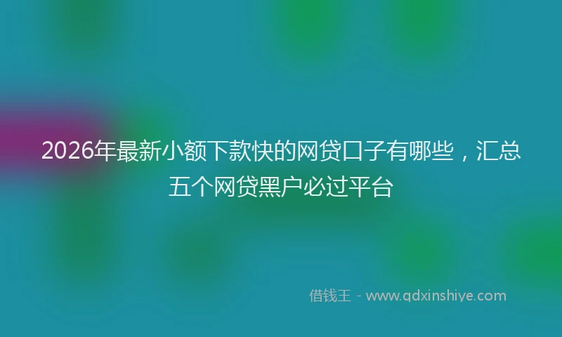 2026年最新小额下款快的网贷口子有哪些，汇总五个网贷黑户必过平台