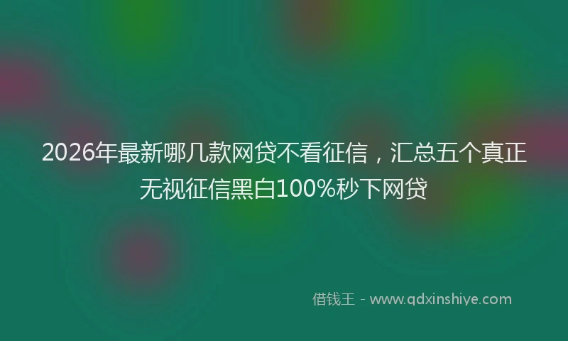 2026年最新哪几款网贷不看征信,汇总五个真正无视征信黑白100%秒下网贷
