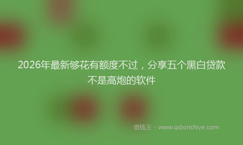 2026年最新够花有额度不过,分享五个黑白贷款不是高炮的软件