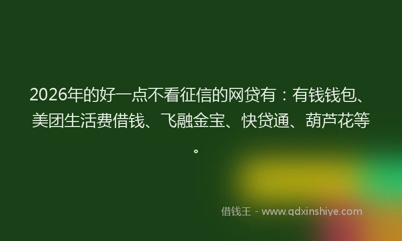 2026年的好一点不看征信的网贷有：有钱钱包、美团生活费借钱、飞融金宝、快贷通、葫芦花等。