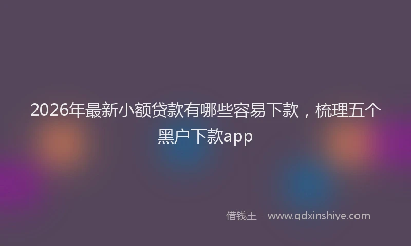 2026年最新小额贷款有哪些容易下款，梳理五个黑户下款app