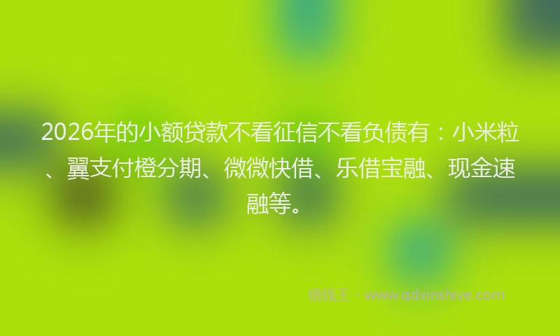 2026年的小额贷款不看征信不看负债有：小米粒、翼支付橙分期、微微快借、乐借宝融、现金速融等。