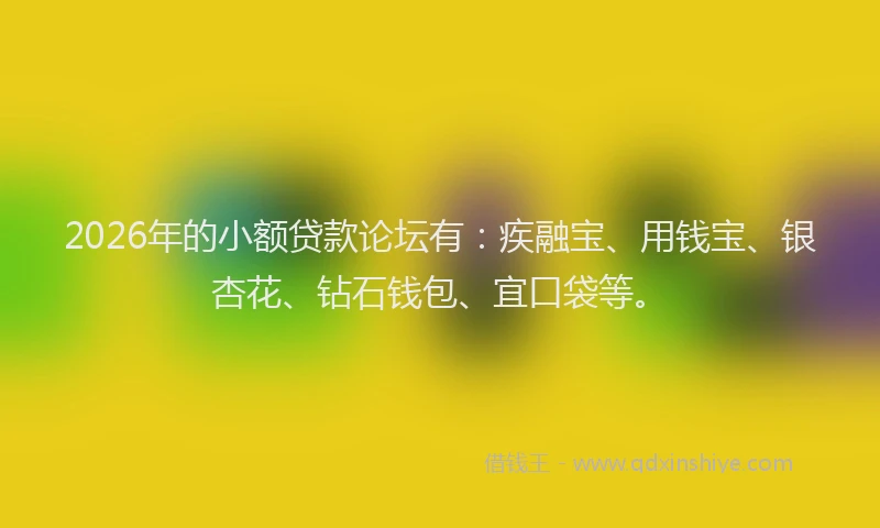 2026年的小额贷款论坛有：疾融宝、用钱宝、银杏花、钻石钱包、宜口袋等。