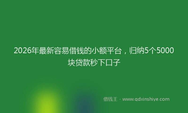 2026年最新容易借钱的小额平台，归纳5个5000块贷款秒下口子