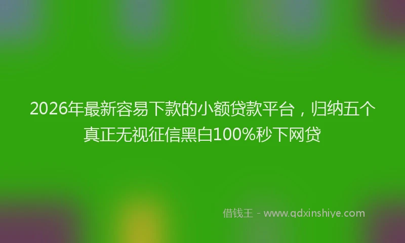 2026年最新容易下款的小额贷款平台，归纳五个真正无视征信黑白100%秒下网贷