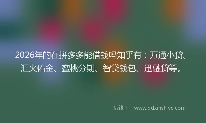 2026年的在拼多多能借钱吗知乎有:万通小贷、汇火佑金、蜜桃分期、智贷钱包、迅融贷等。