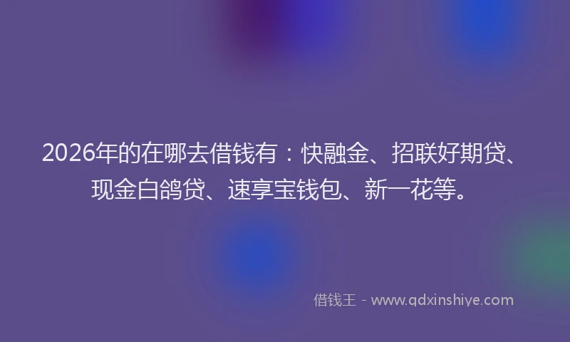 2026年的在哪去借钱有:快融金、招联好期贷、现金白鸽贷、速享宝钱包、新一花等。