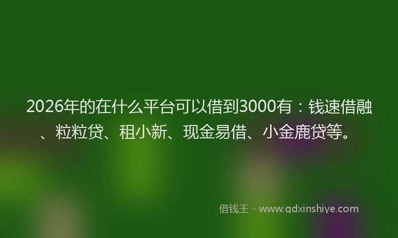 2026年的在什么平台可以借到3000有:钱速借融、粒粒贷、租小新、现金易借、小金鹿贷等。