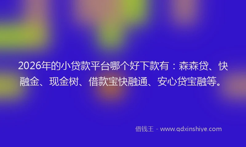 2026年的小贷款平台哪个好下款有：森森贷、快融金、现金树、借款宝快融通、安心贷宝融等。