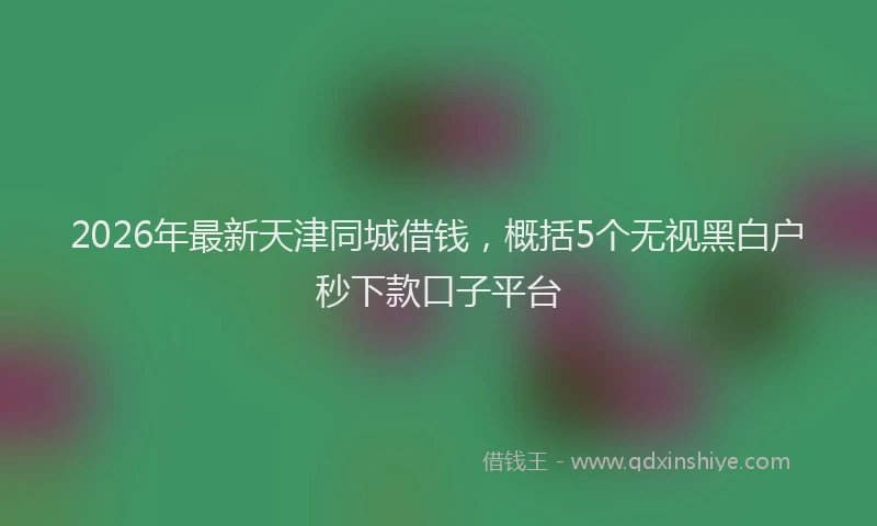 2026年最新天津同城借钱,概括5个无视黑白户秒下款口子平台