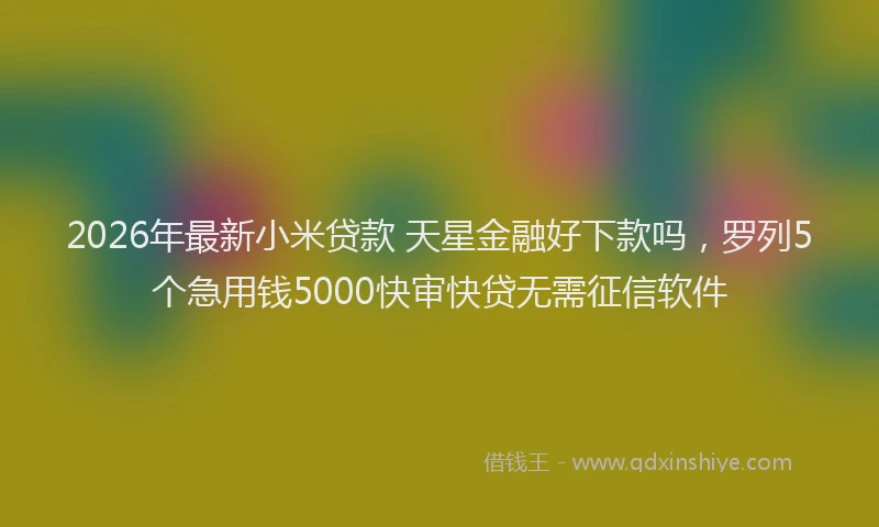 2026年最新小米贷款 天星金融好下款吗，罗列5个急用钱5000快审快贷无需征信软件