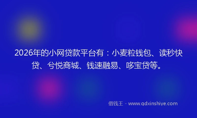 2026年的小网贷款平台有：小麦粒钱包、读秒快贷、兮悦商城、钱速融易、哆宝贷等。