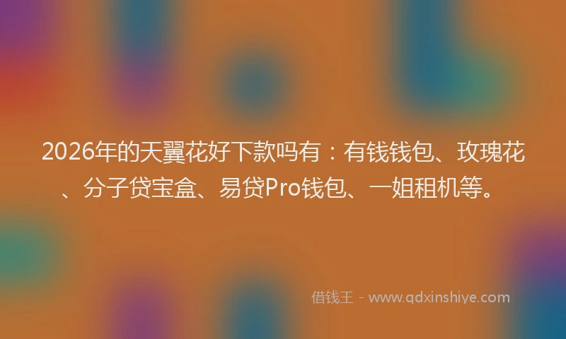 2026年的天翼花好下款吗有：有钱钱包、玫瑰花、分子贷宝盒、易贷Pro钱包、一姐租机等。