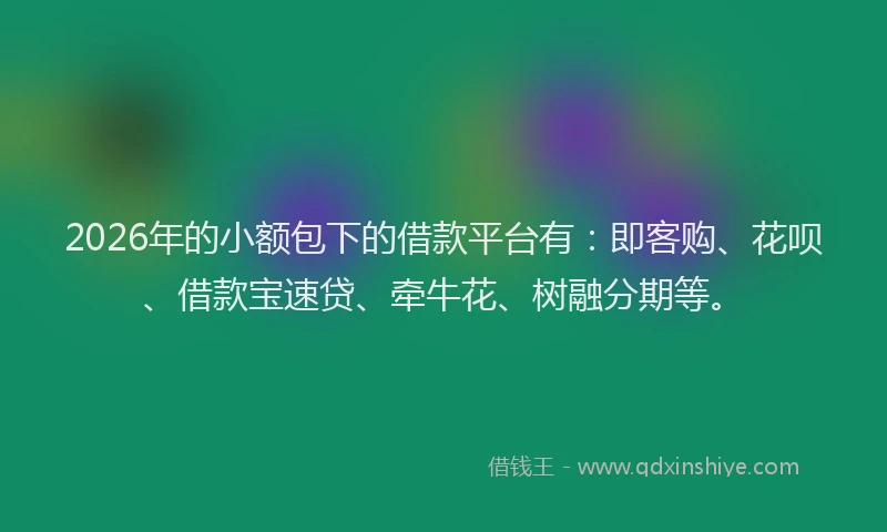 2026年的小额包下的借款平台有：即客购、花呗、借款宝速贷、牵牛花、树融分期等。