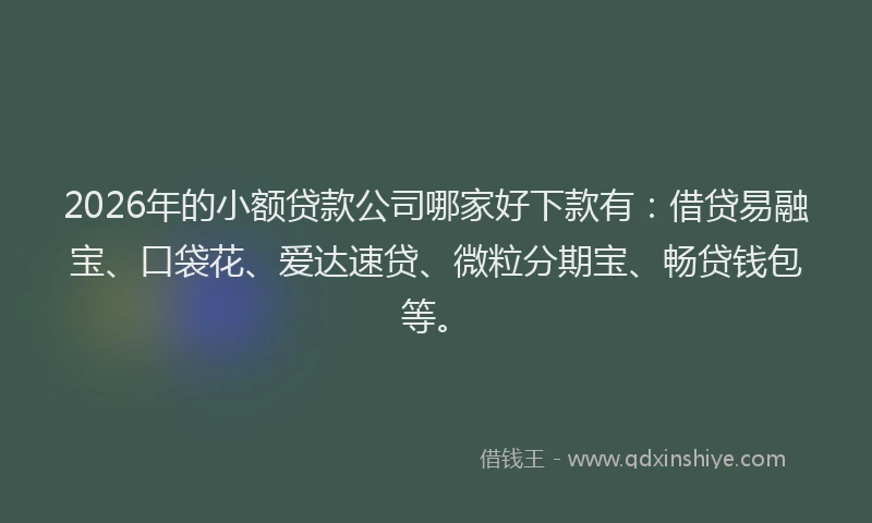 2026年的小额贷款公司哪家好下款有：借贷易融宝、口袋花、爱达速贷、微粒分期宝、畅贷钱包等。