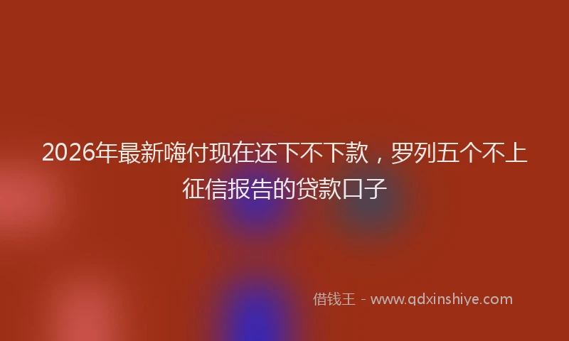 2026年最新嗨付现在还下不下款，罗列五个不上征信报告的贷款口子