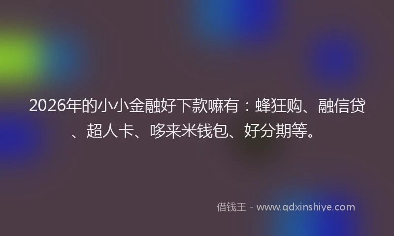 2026年的小小金融好下款嘛有：蜂狂购、融信贷、超人卡、哆来米钱包、好分期等。