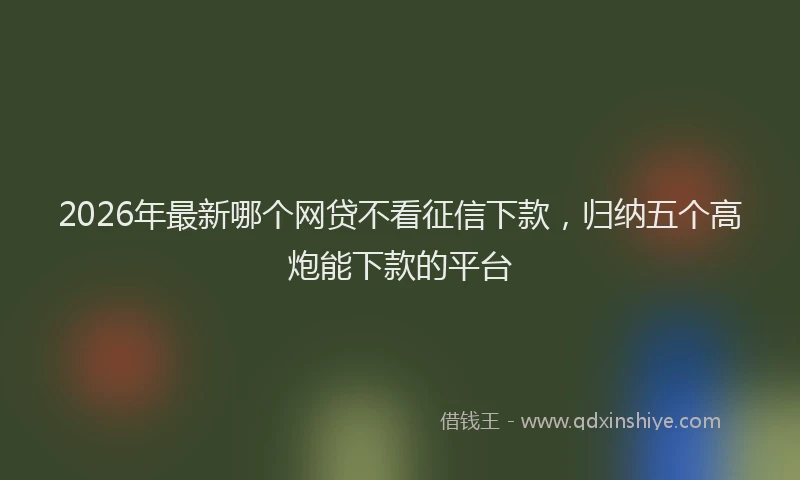 2026年最新哪个网贷不看征信下款，归纳五个高炮能下款的平台