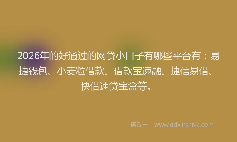 2026年的好通过的网贷小口子有哪些平台有：易捷钱包、小麦粒借款、借款宝速融、捷信易借、快借速贷宝盒等。
