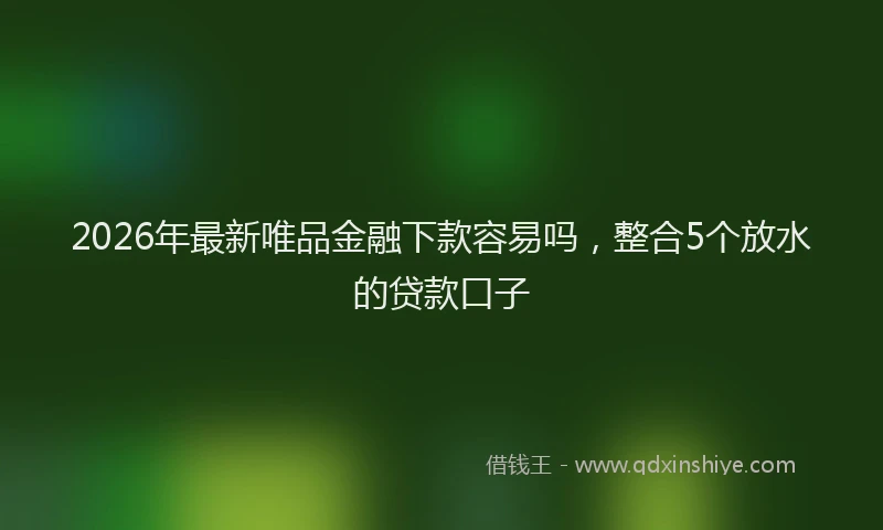 2026年最新唯品金融下款容易吗，整合5个放水的贷款口子