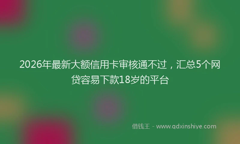 2026年最新大额信用卡审核通不过，汇总5个网贷容易下款18岁的平台