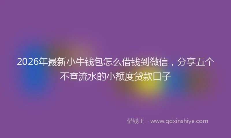 2026年最新小牛钱包怎么借钱到微信，分享五个不查流水的小额度贷款口子