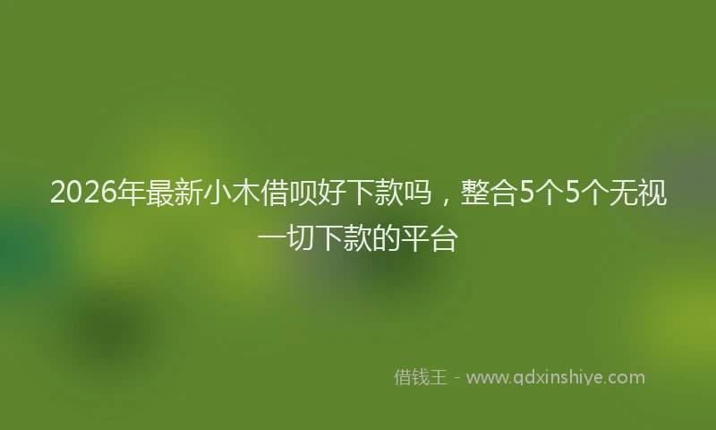 2026年最新小木借呗好下款吗，整合5个5个无视一切下款的平台
