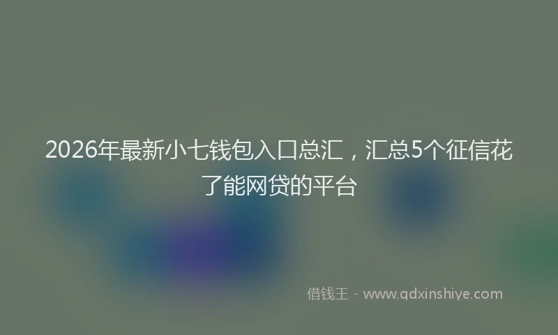 2026年最新小七钱包入口总汇，汇总5个征信花了能网贷的平台