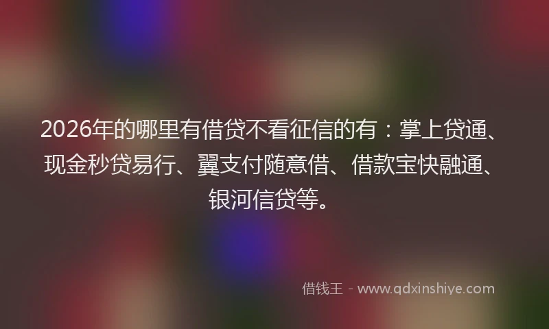 2026年的哪里有借贷不看征信的有：掌上贷通、现金秒贷易行、翼支付随意借、借款宝快融通、银河信贷等。