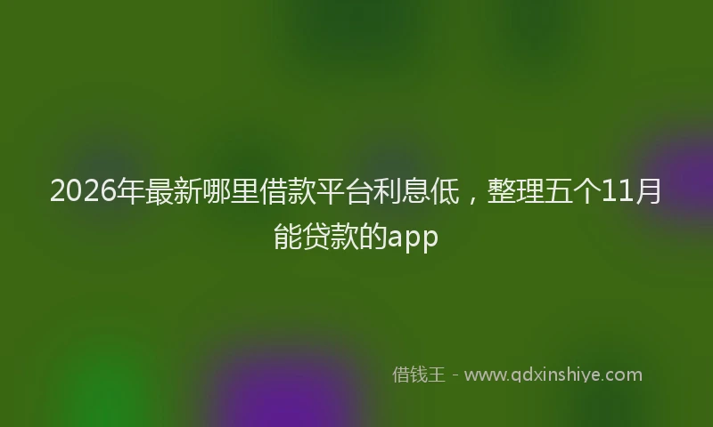 2026年最新哪里借款平台利息低,整理五个11月能贷款的app