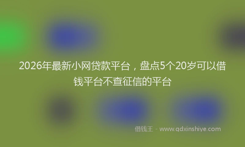 2026年最新小网贷款平台，盘点5个20岁可以借钱平台不查征信的平台