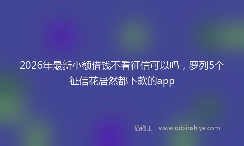 2026年最新小额借钱不看征信可以吗，罗列5个征信花居然都下款的app