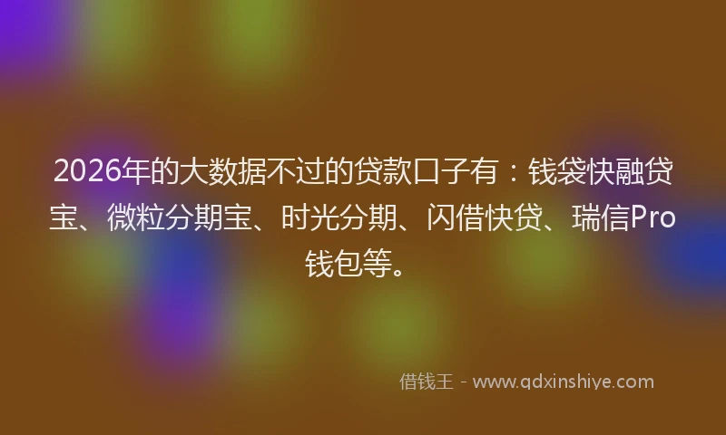 2026年的大数据不过的贷款口子有：钱袋快融贷宝、微粒分期宝、时光分期、闪借快贷、瑞信Pro钱包等。