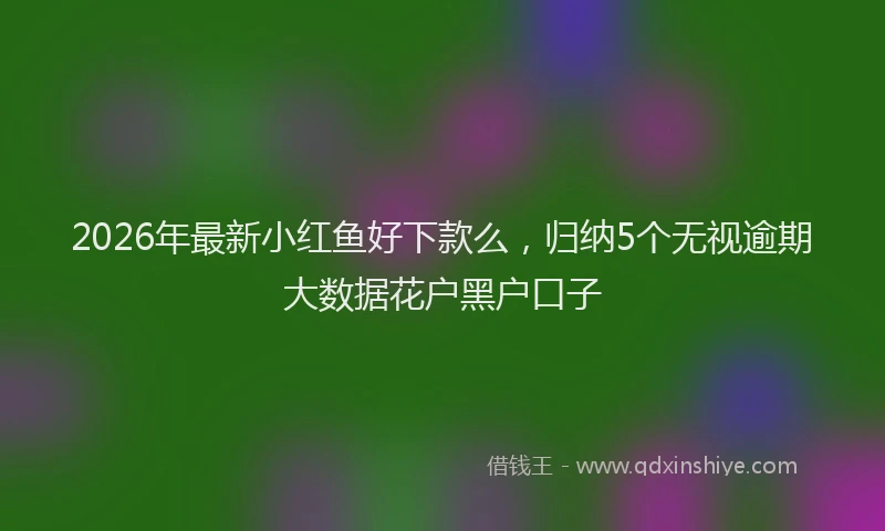 2026年最新小红鱼好下款么，归纳5个无视逾期大数据花户黑户口子