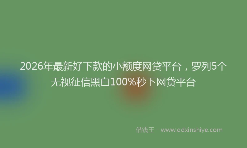 2026年最新好下款的小额度网贷平台，罗列5个无视征信黑白100%秒下网贷平台