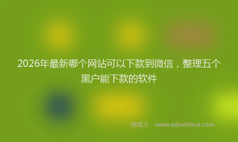 2026年最新哪个网站可以下款到微信，整理五个黑户能下款的软件