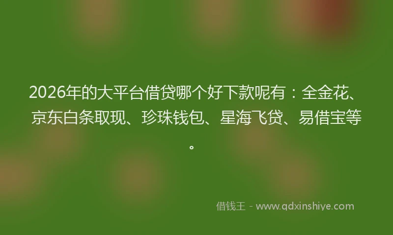 2026年的大平台借贷哪个好下款呢有:全金花、京东白条取现、珍珠钱包、星海飞贷、易借宝等。